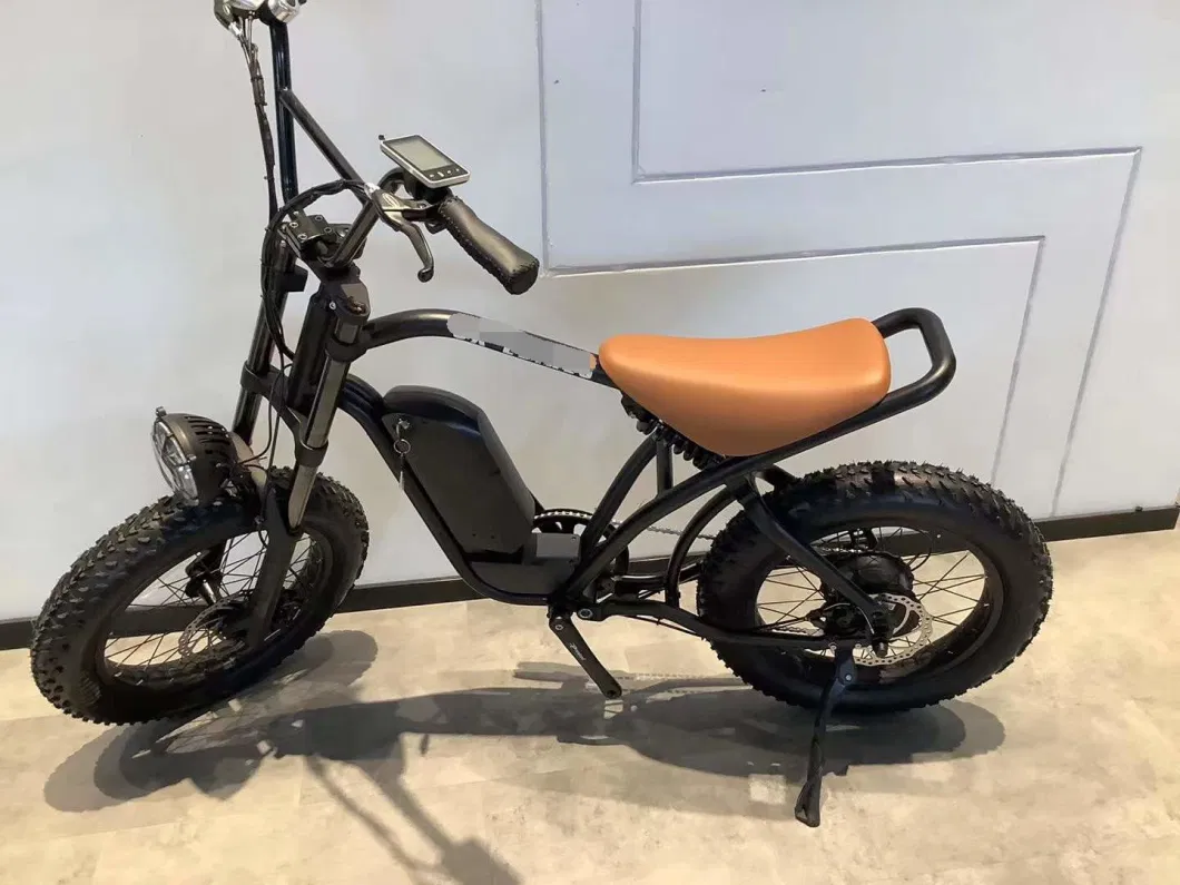 48V Electric Bicycle Ebike 500W Electric Motorcycles for Adults