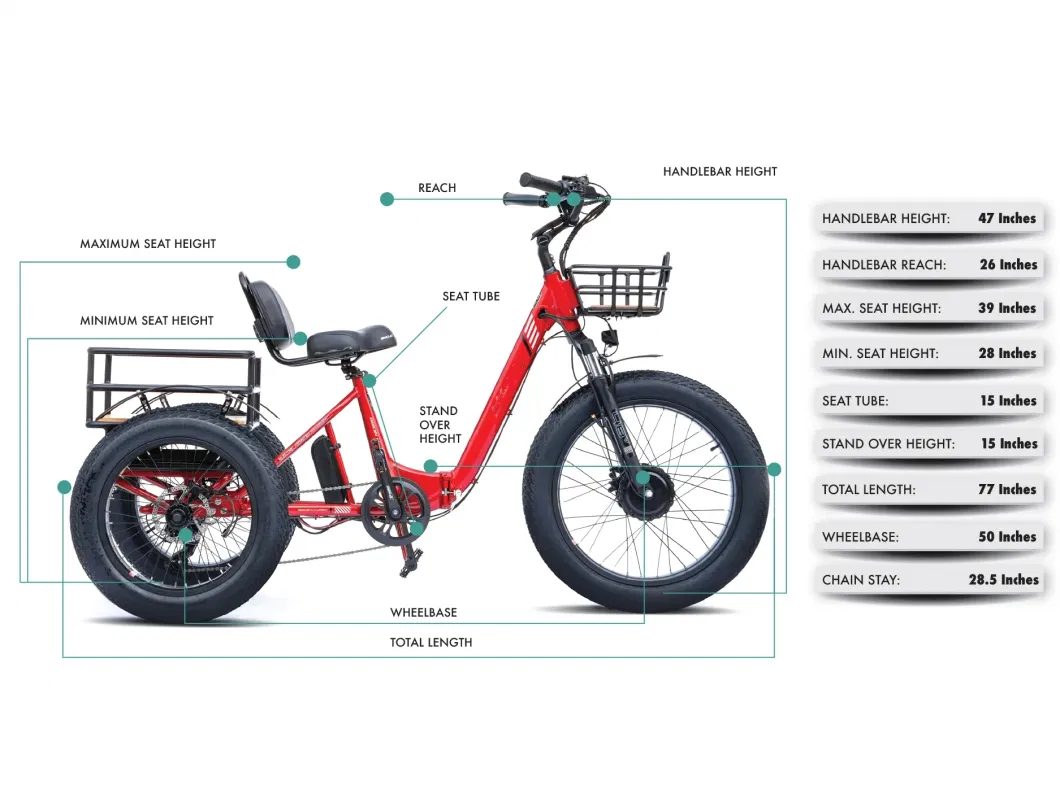 USA Assembly Plants 750W Bike Cargo Turkey Electric Trike Big Tire Motorcycle with Rear Basket 3 Wheel E Trike