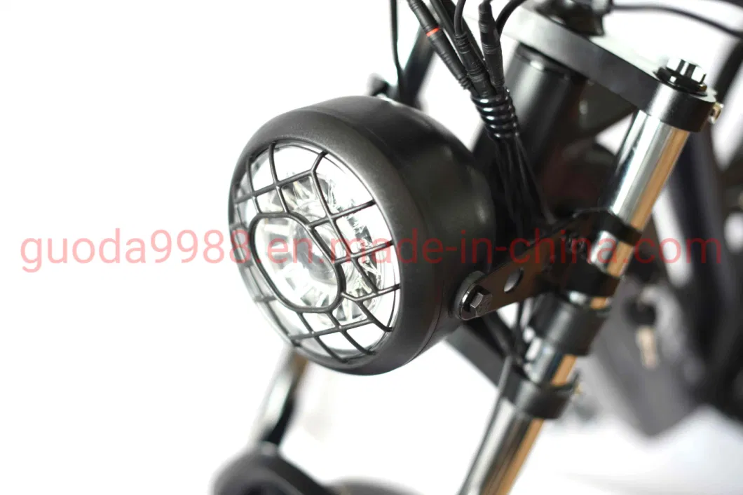 Al 750W 48V Electric Bike Dual Crown Retro Bicycle Motorcycle