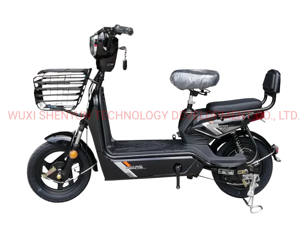 with Pedal Assistance Electric Bicycle 400W Motor Sy-Jy