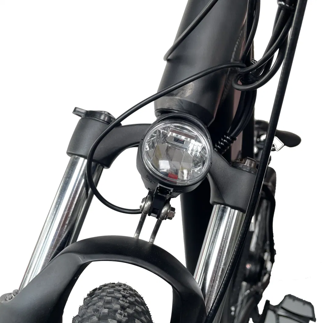 250W 500W 36V Ebike 29&quot; Tire City Commuting Electric Bike for Adults