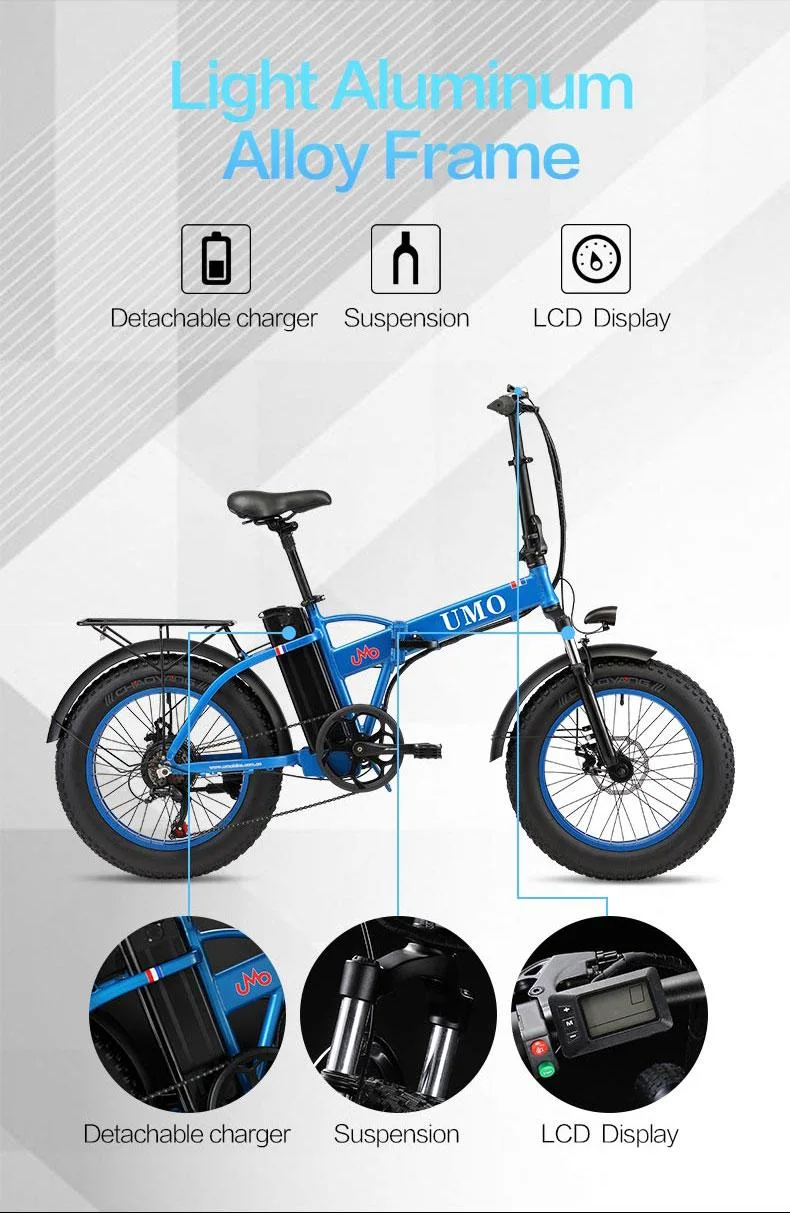 Manufacturer Lithium Battery Foldable Ebike Electric Bike for Adults