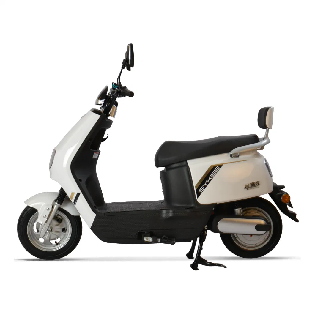 City Bike 600W Motor E Scooters Power Electric Motorcycle Electrical Bicycle