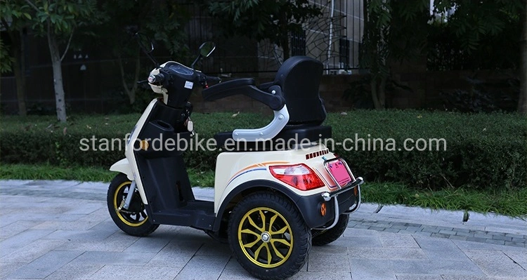 Handicapped Motorized Tricycles for Adults 3 Wheel 1000W Three Electric Scooter 500W