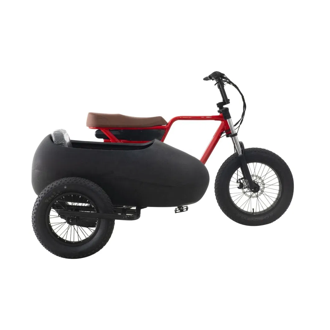 Hot Selling 20&prime;&prime; Tricycle Electric Bike with 48V 500W Motor