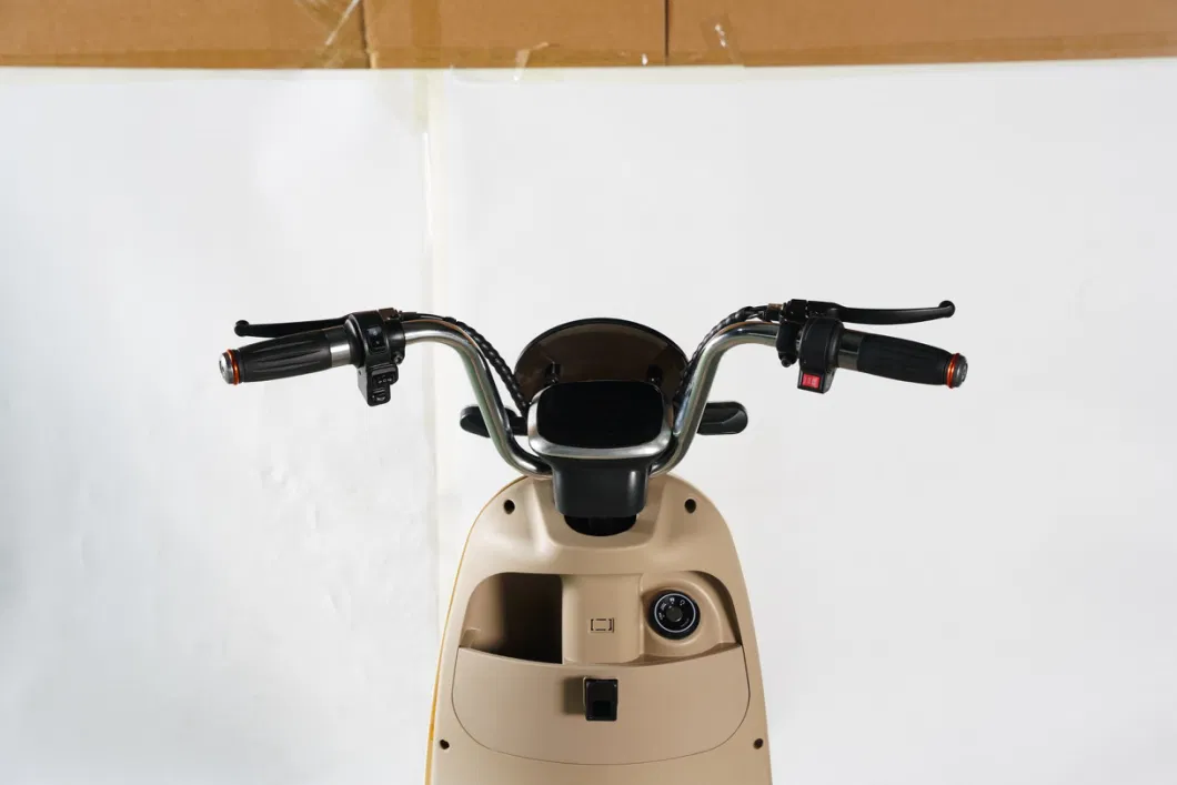 China Price 500W 48V20ah Electric Bicycle Electric Scooter Electric Motorcycle Factory E-Scooter