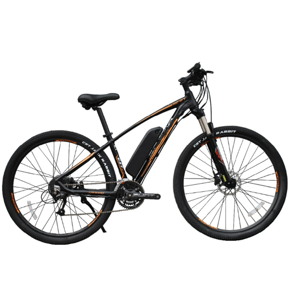 Fast High Speed E Bike Electric Mount Bike 5000 W Size 29 to Buy Electric Mountain Bicycle