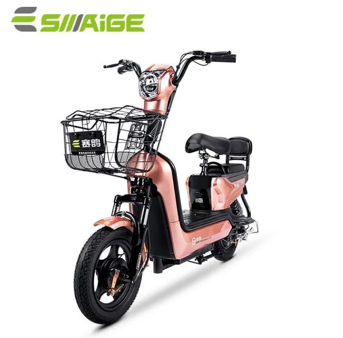 Saige China Factory Direct Sell Cheaper Electric Bike with EEC Coc