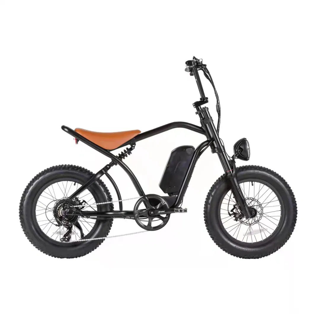 48V Electric Bicycle Ebike 500W Electric Motorcycles for Adults