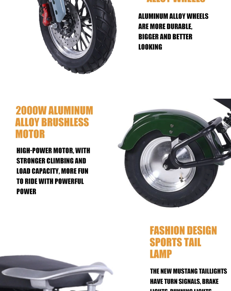 60V 2000W/2500W Electric Scooter Powerful Adults Electric Motorcycle for Sale