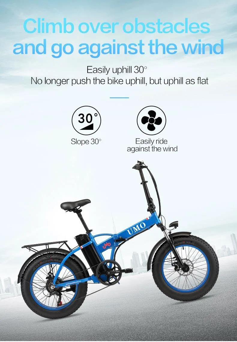 Scooters Adult 20inch Other Bike City Fat Tire Ebike Electric Mountain Bicycle