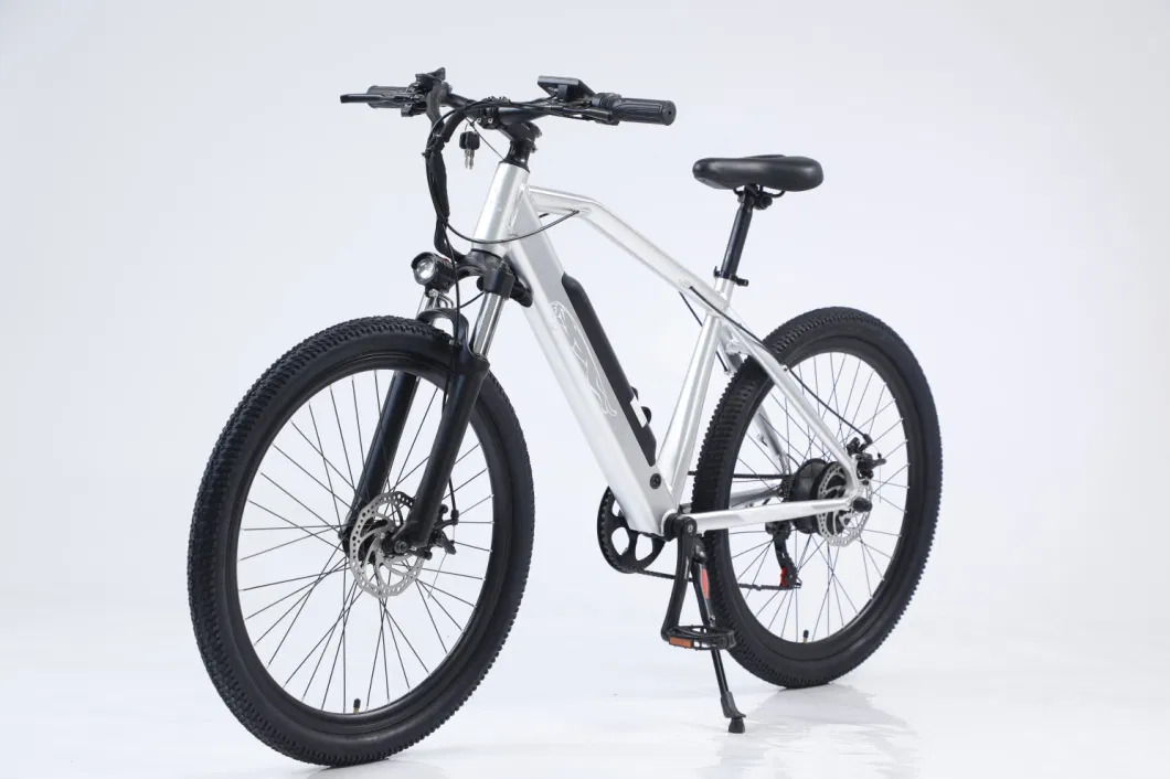 China OEM Factory Electric Bike E Bike Mini Pocket Bike Lithium Power Bike