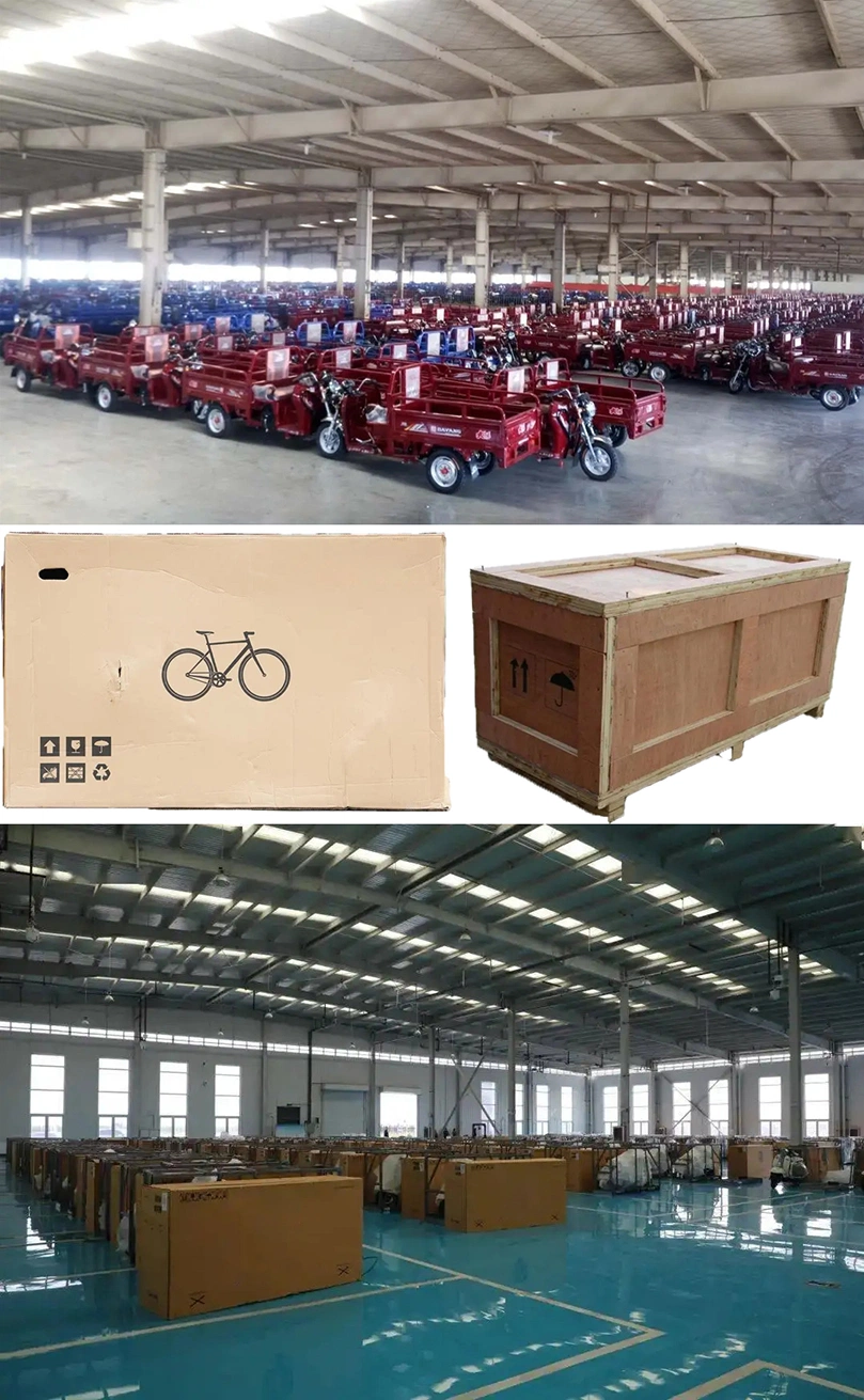 Electrical for Motor Electr Bike Electrically Canvas Hood High Scooter Adult Wheel Cheap Tricycles UV Taxi 3 Electric Tricycle
