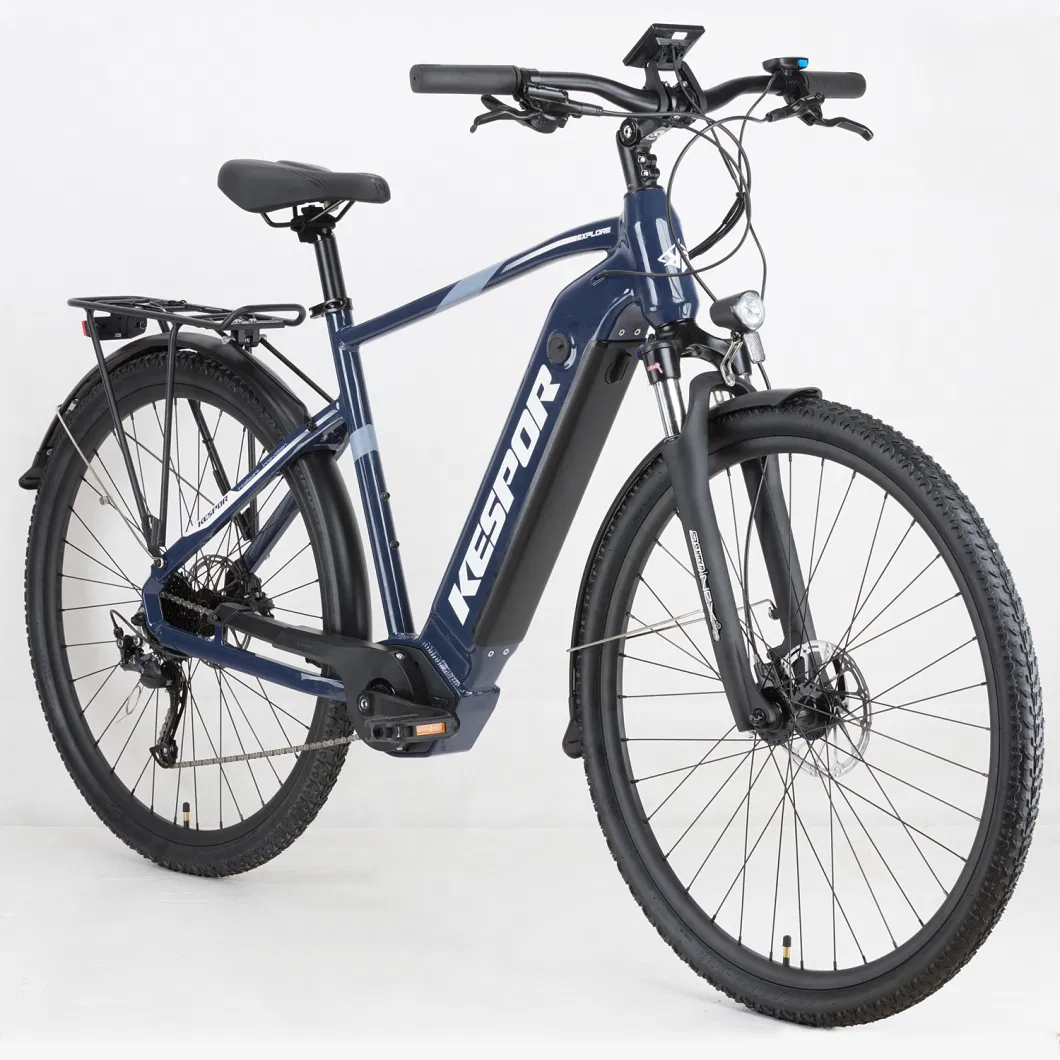 29&prime; &prime; 36V 250W Electric Bike with Lithium Battery and Disc Brake