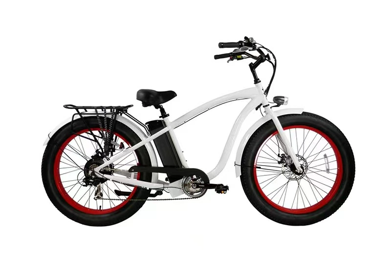 750W Brushless Motor Electric Bikes Buy Cheap Price for Sales Electric Bicycle