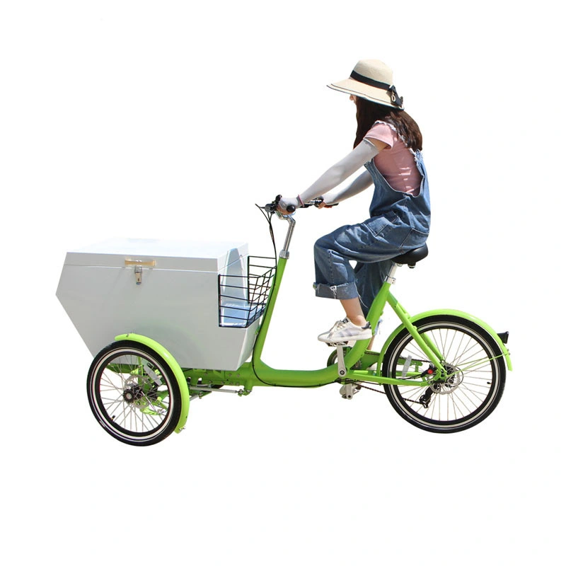 White Color Adult Tricycle Electric Mobile Cargo Bike Shopping Cart with Stainless Steel Box Loaded Customizable