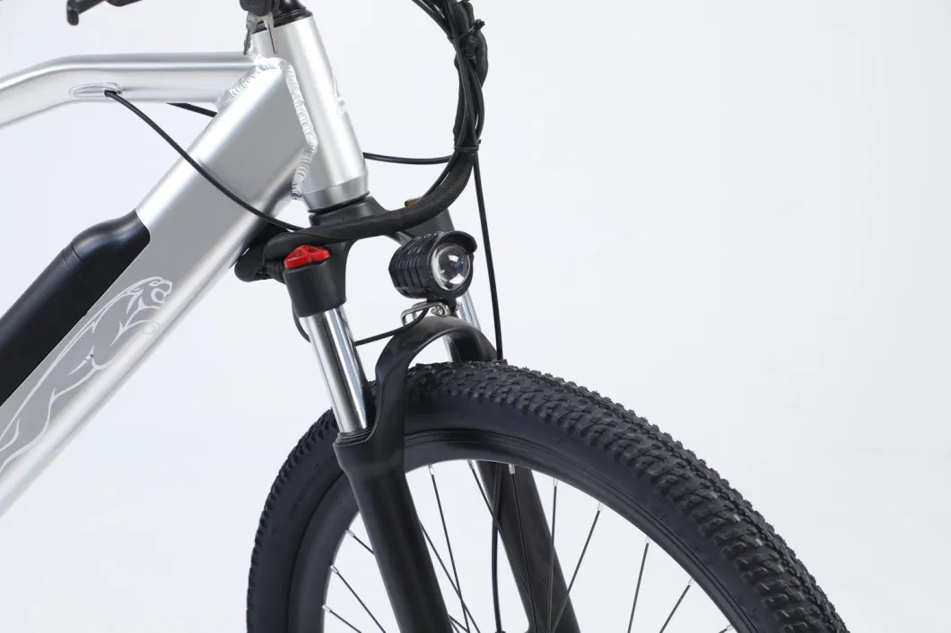 2023 Fastest Electric Cheap Mountain Folding E Bikes for Sale