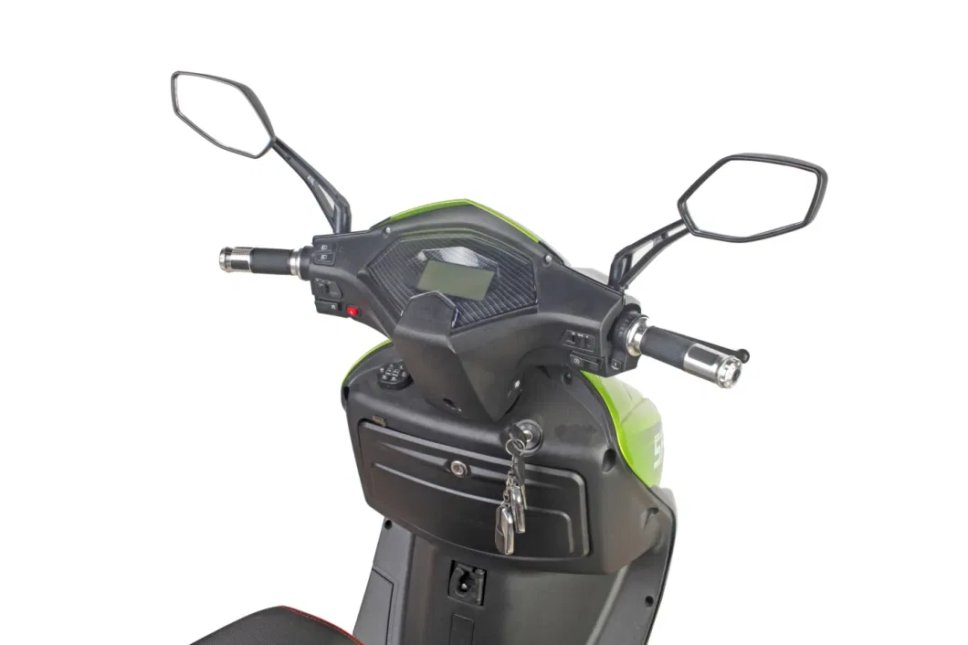 1000W Powerful Electric Motorcycle Scooter / Electrical Motorcycle Bicycle (F1-3)