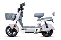 Delivery Aluminum Alloy Frame 20/26*2.125 Tyre Cargo Electric Bike