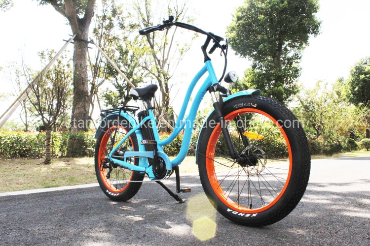 New Hot Selling Convenient Electric Bike for European Country