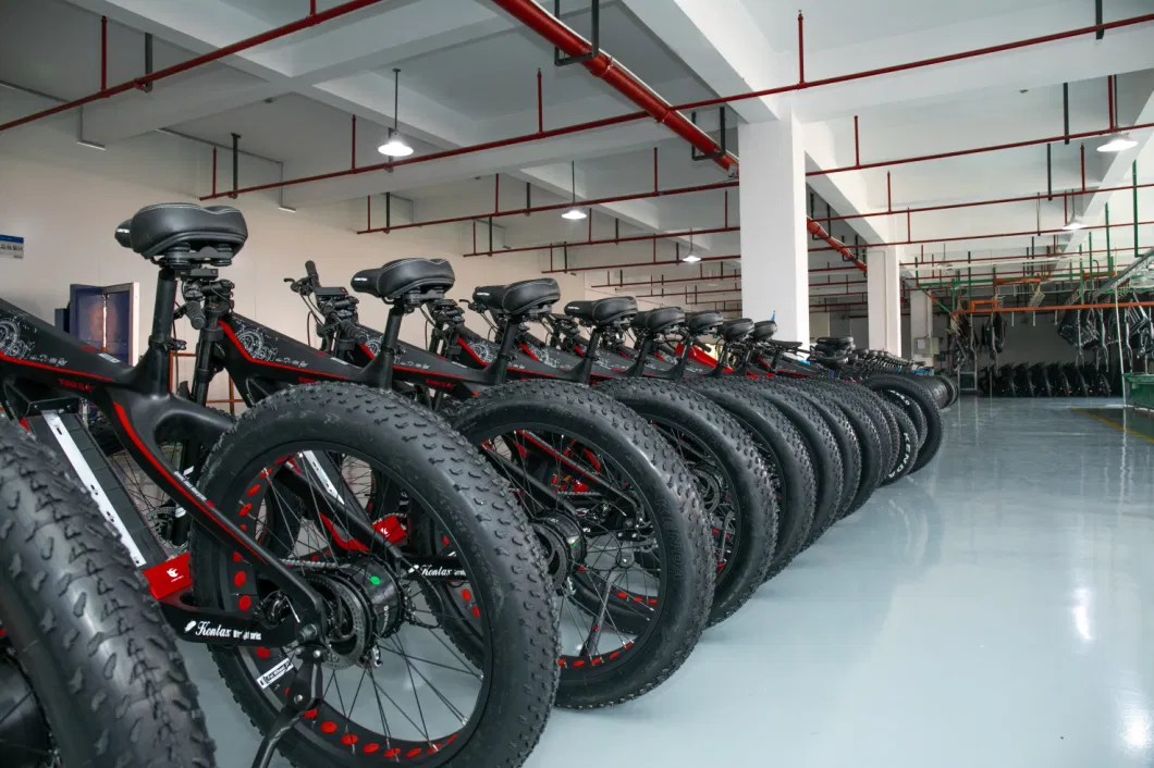 Factory Wholesale High Power 1000W Disc Brake Bike Electric Bicycle