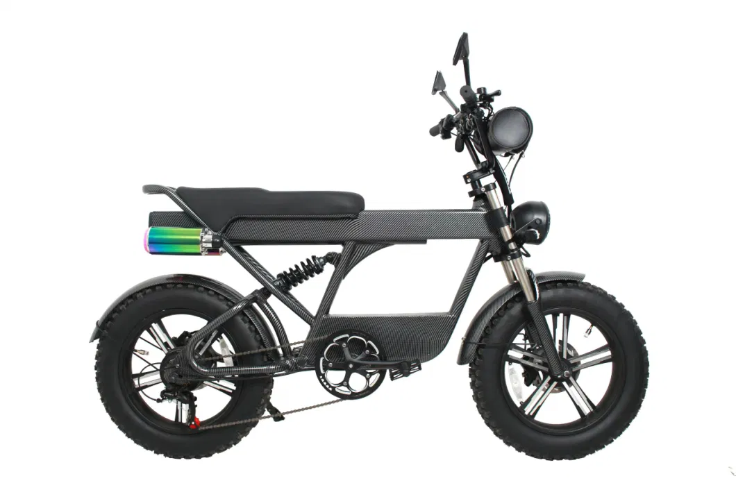 Energy Saving Urban Convenient Strong Large Vacuum Cheap 20inch*4.0 Tire 60km Electric Bike