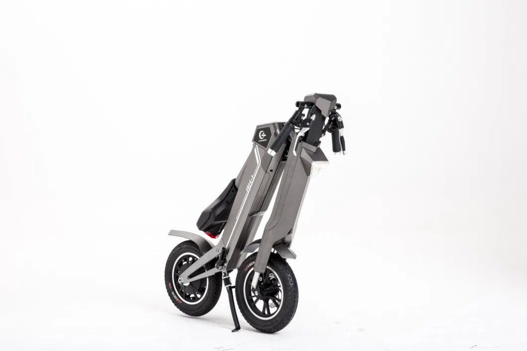 2023 Popular 48V 3500W Folding Electric City Bike Electric Sports Pedal E-Scooter Bikes