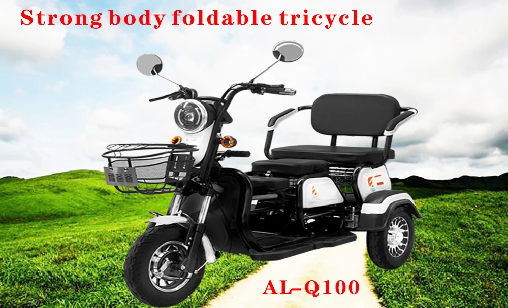 Al-Q100 Alin Three Wheel Electric Tricycle Scooter Bicycle
