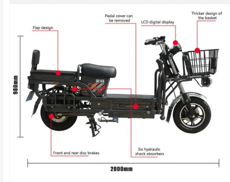 Electric Bicycles Cargo Carrier King Ebike Electric Scooter (250W-4)