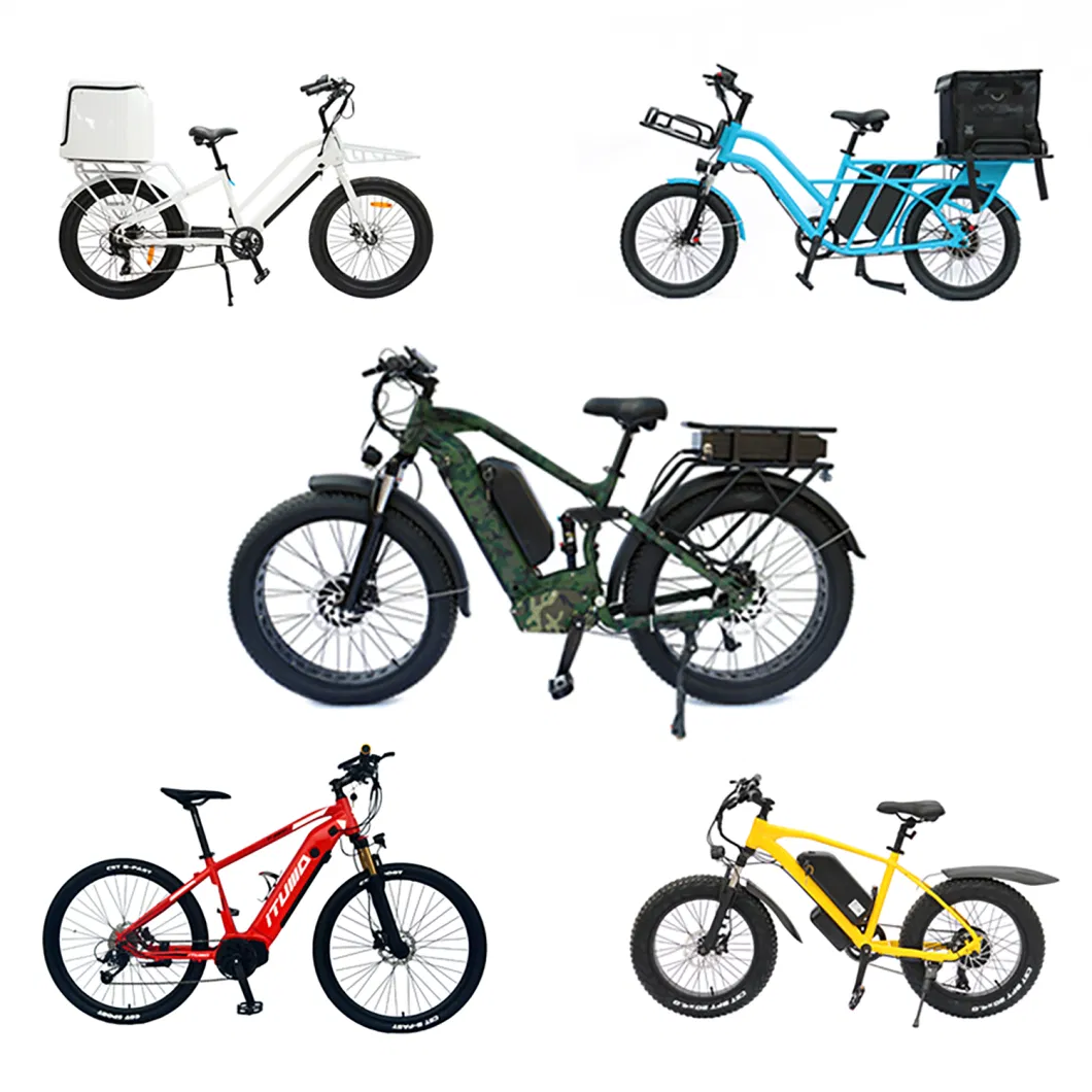 Electric Bicycle/Electric Moped/Electric Scooter/Emtb/Electric Bike/Ebike