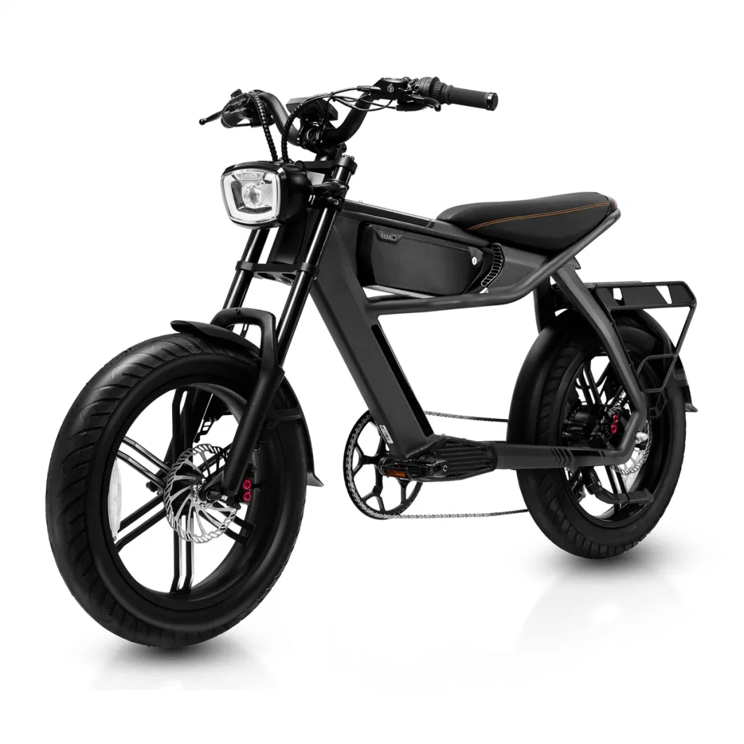 350W 48V 24&quot; 20-40km/H Mountain Scooter Electric Motorcycle Electric Scooter Electric Dirt Bicycle