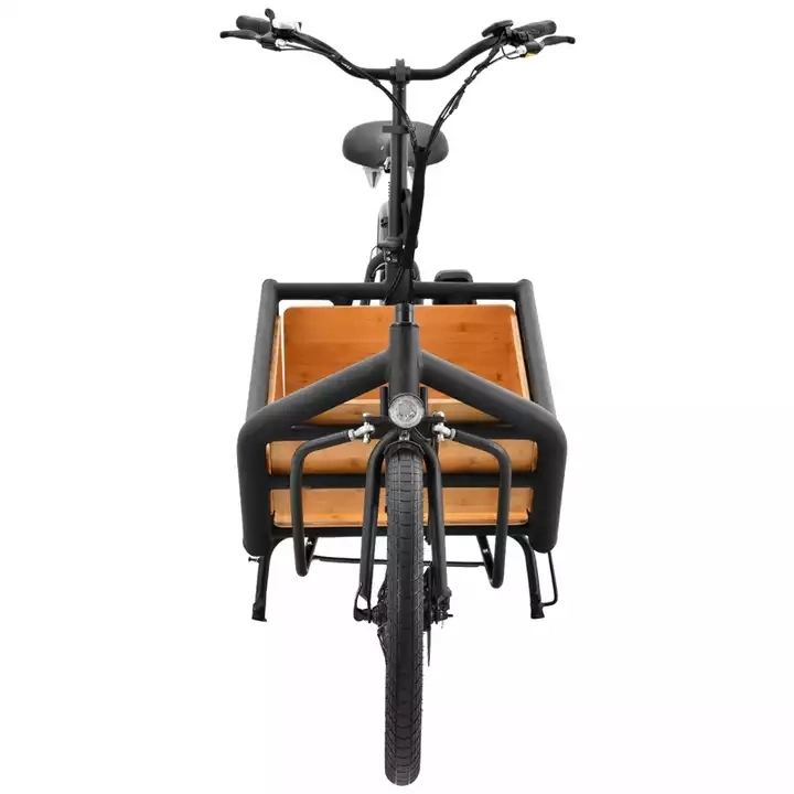 Popular Model Bakfiets/ Cargo Bike Three Wheel/Tricycles
