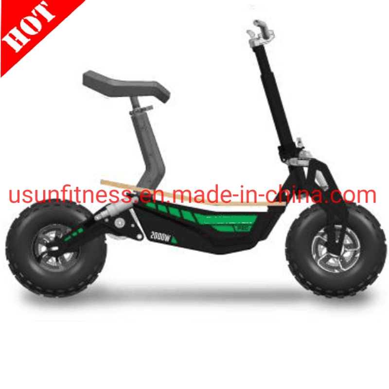 Promotion High Speed Folding Electirc Scooter Adult Electric Bike Electric Bicycle E-Scooter 1000 W 48 V 20 Ah with CE