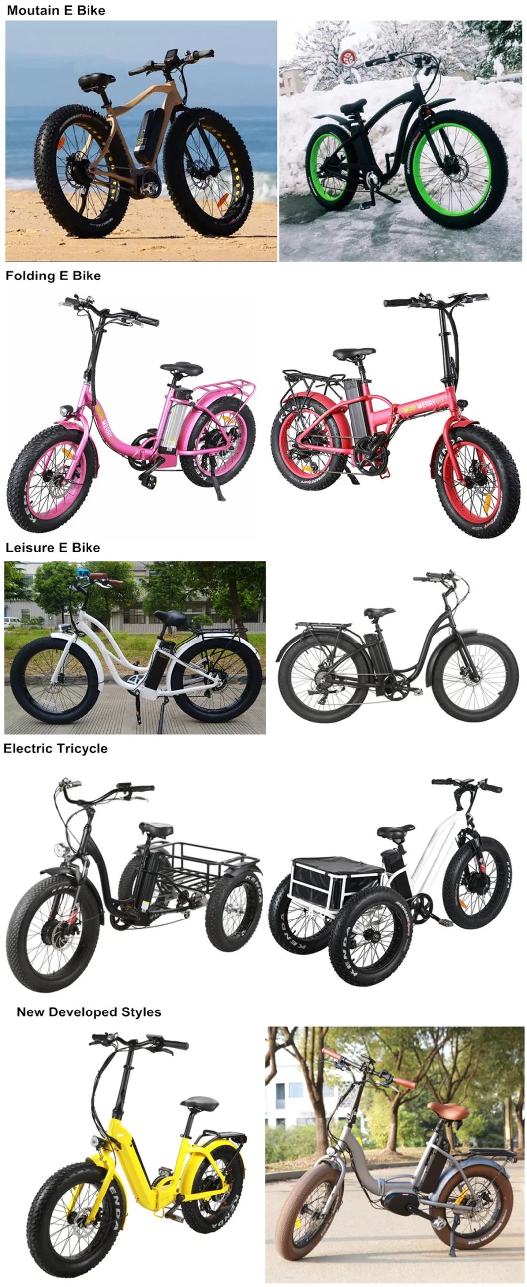 Mini 20&prime;&prime; Aluminum Electric Bicycle Folding for Adult