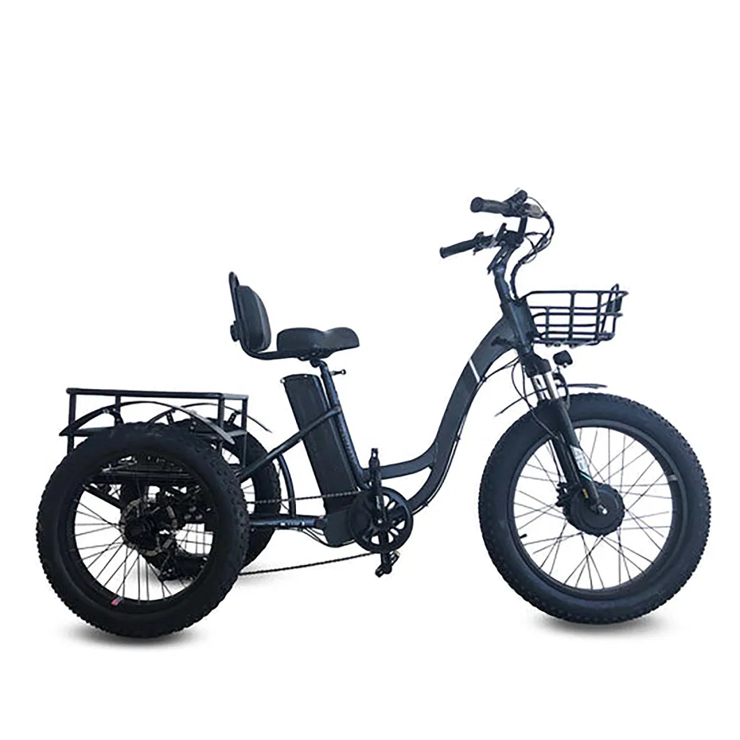500W 3 Wheel Electric Tricycle Bicycle with Rear Cargo