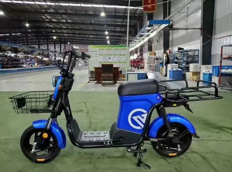 Saige Delivery electric Bike with Cargo Carrier