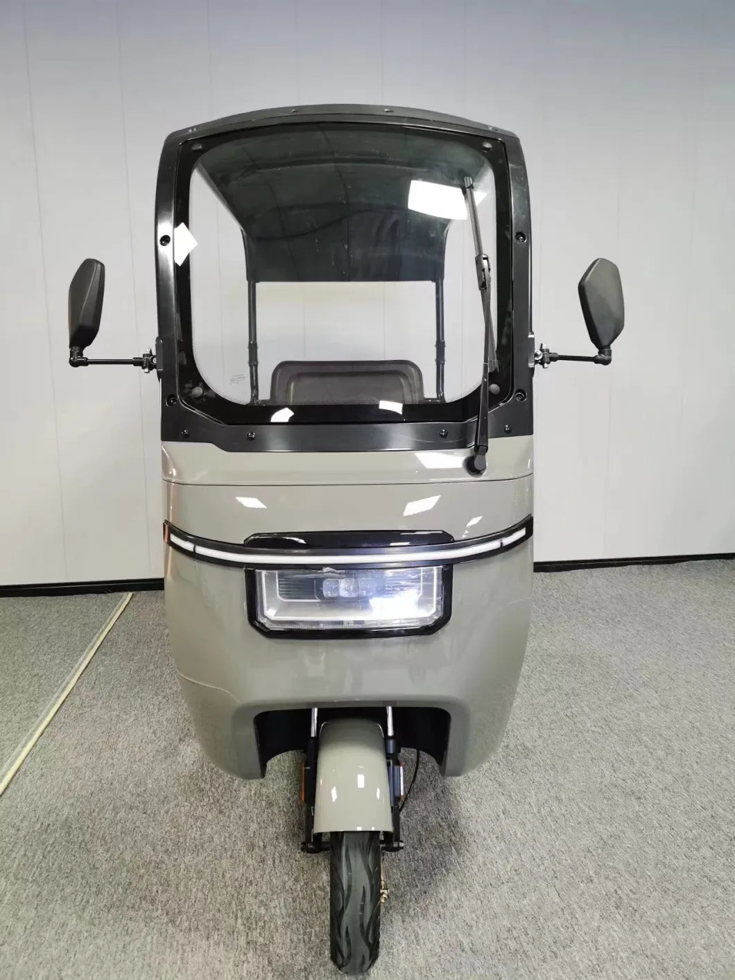 1000W Electric Tricycle for Passenger and Cargo Three Wheel Auto Rickshaw