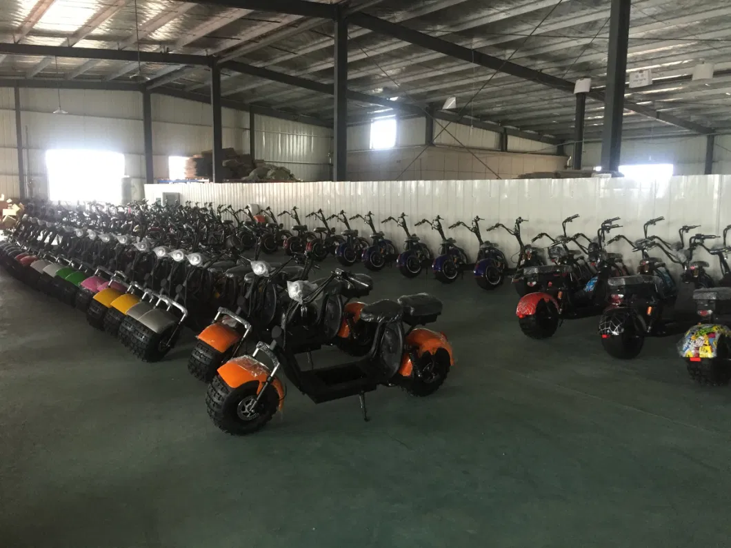 Wholesale 1500W 2 Wheel Patinete Eletrico Electric Citycoco Scooter with Fat Tire