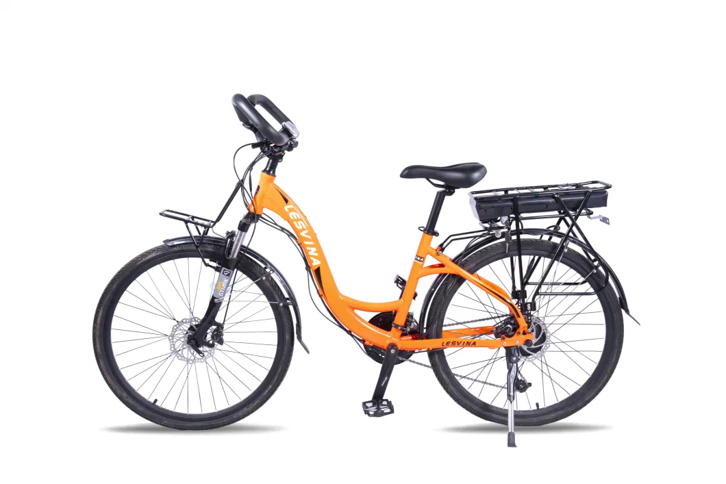 Butterfly Handlebar Electric City Bike 48V 250W Bicycle Ebike