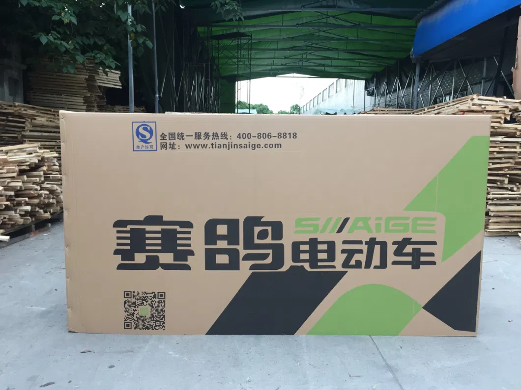 Food Delivery E Bike Saige Cheapest From China Supplier with Large Load Capacity