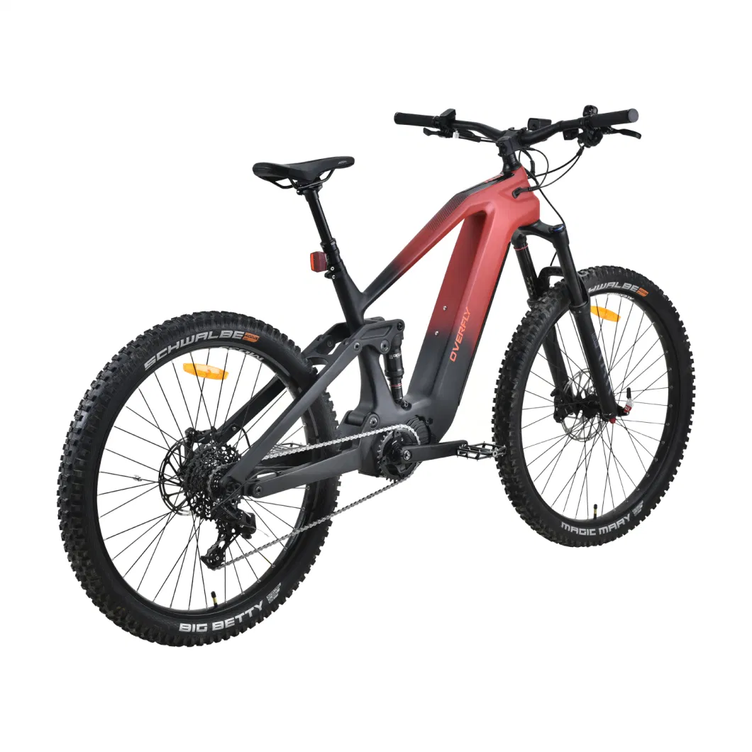 11 Speeds Electric Mountain Bike with Carbon Frame by China Manufacture