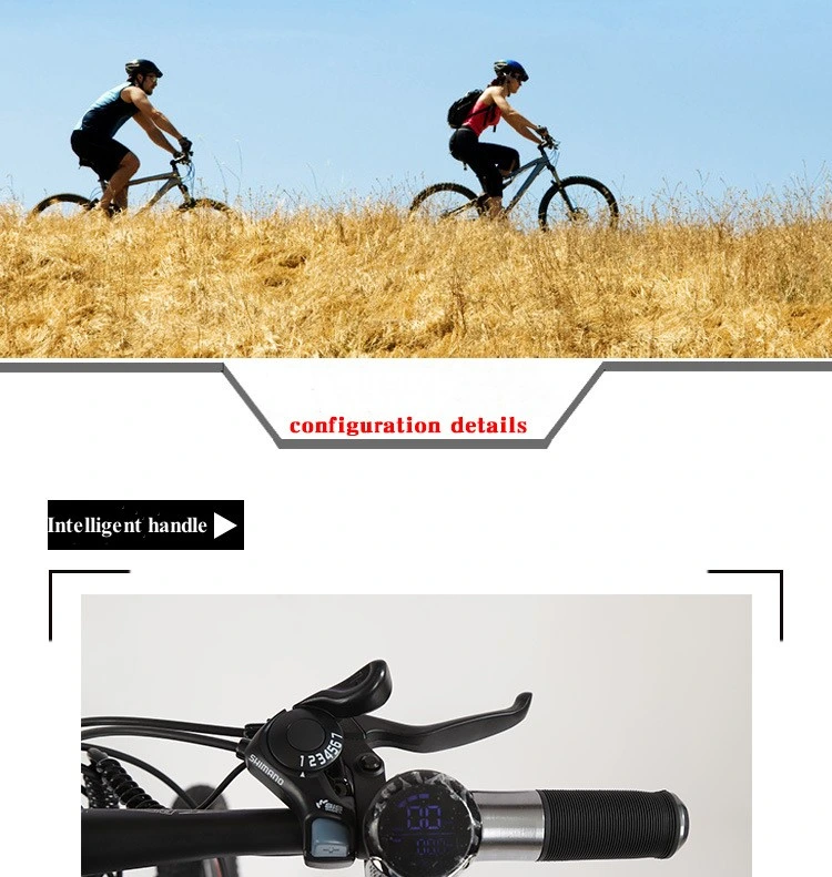 Cheap Chinese Hot Selling High Quality Mens 26 Inch Electric Mountain Bike