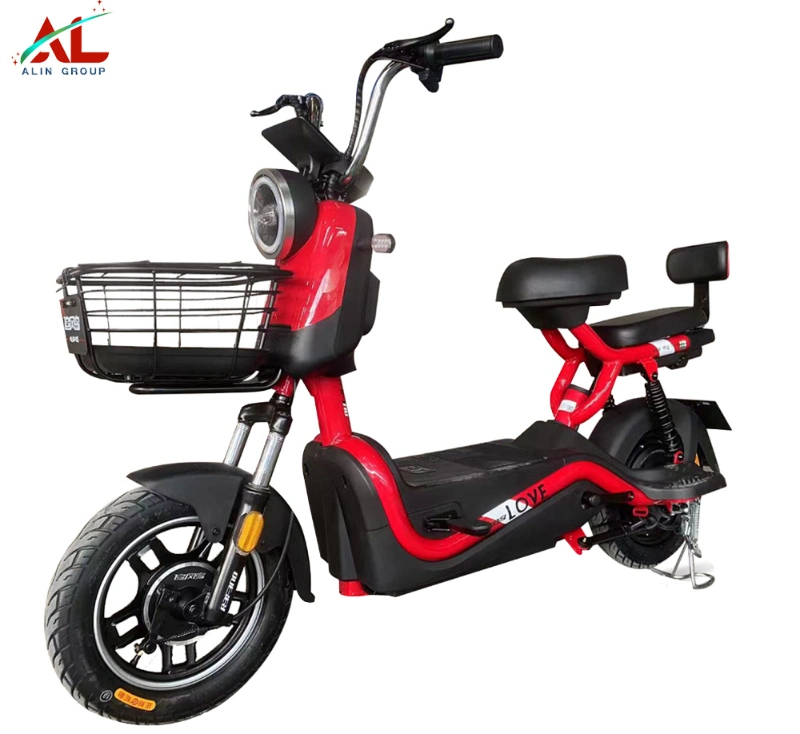 China Electric Bike Best Quality Electric Motorbike for Adult