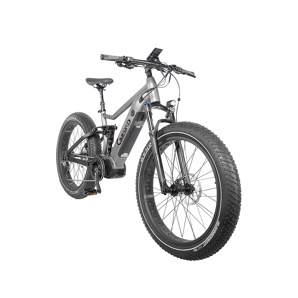 26*4.0 MID-Drive 48V12.8ah Li-ion Battery, 750W/1000W Bafang Brushless Electric City Bike