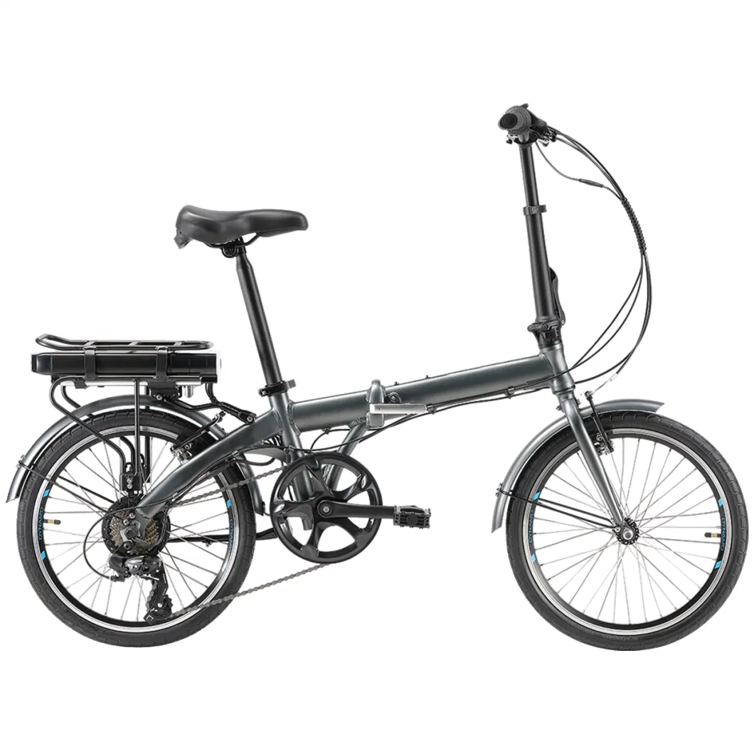 Two Wheels Electric Bicycle 350W Motorized Folding Electric Bike with 36V Battery Ebike