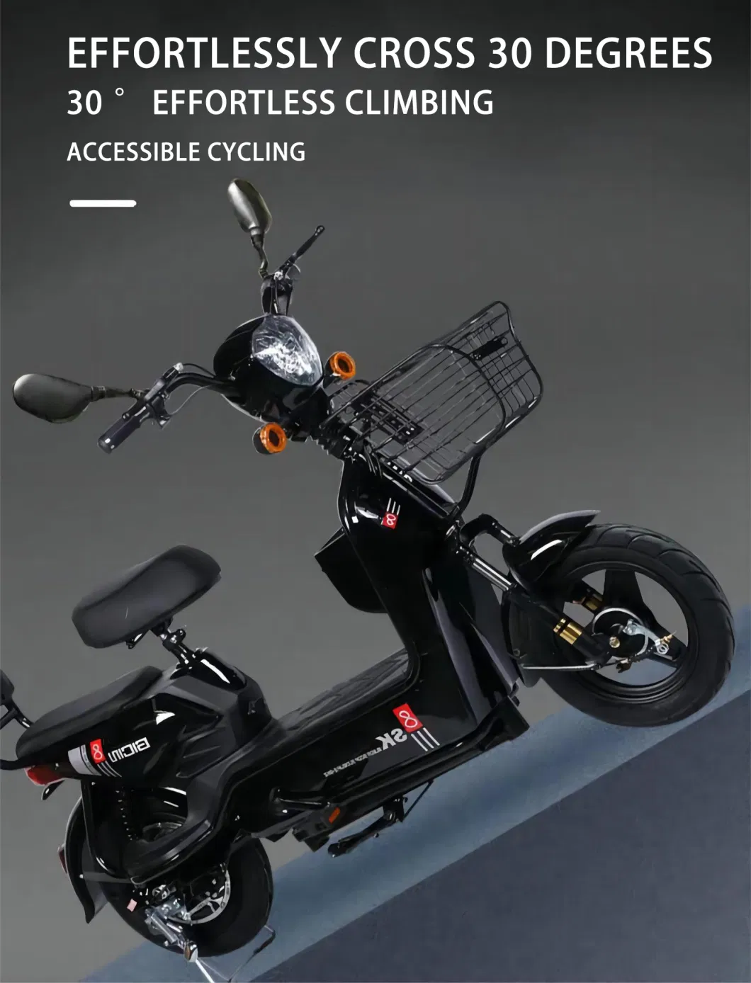 China New Type Electric Scooter 2 Seater 48V 350W Electric City Bike EV Bike E Cycle Electric Bicycle with Lead Acid Battery