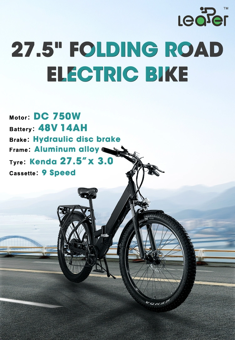14ah Electrical Bike Mountain Bikes Electric Battery 48V 1000W E Bicycle OEM