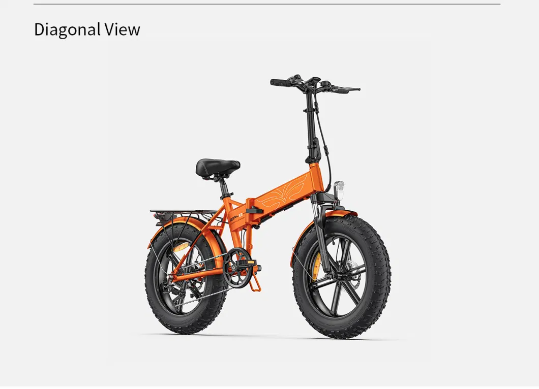 48V13A 42km/H Electric Bicycle 20inch Fat Tire 750W Mountain Electric Bike