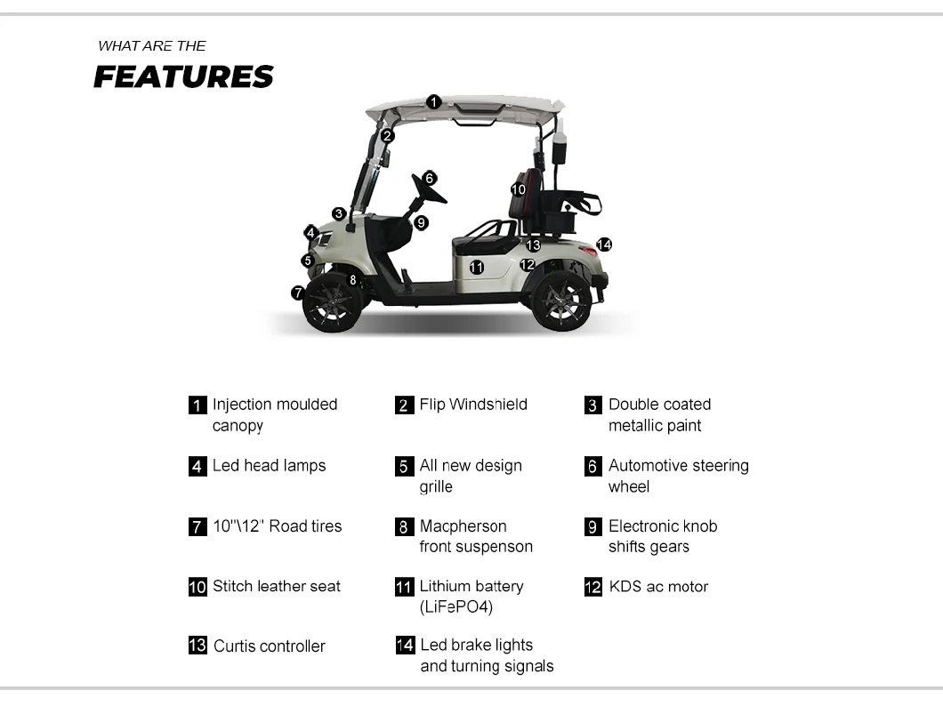 Quality Assurance Lithium Battery Wholesale Products 2 Seater Golf Car Forge G2