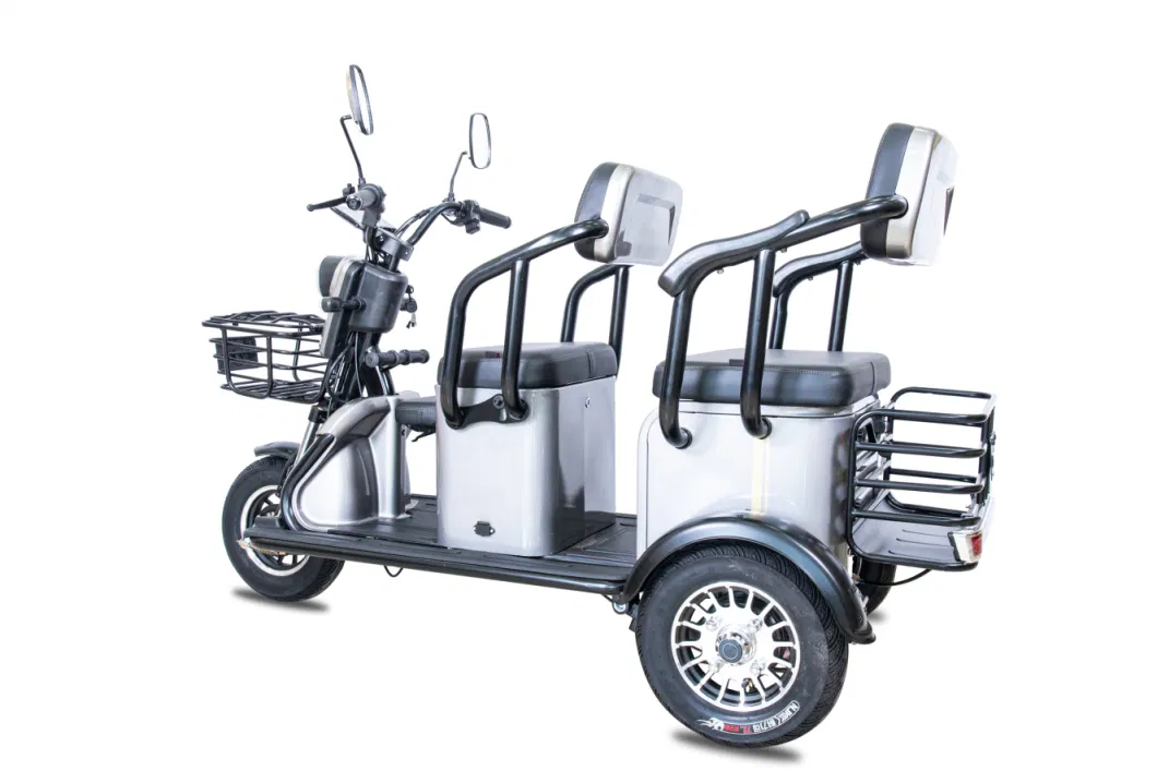 3 Wheel Open Passenger Adult 3 Wheel Electric Rickshaw